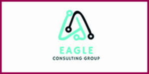 eagle consulting