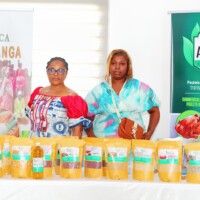 Clap de fin pour la Cohorte 3 du programme Wonder : Une aventure entrepreneuriale couronnée de succès